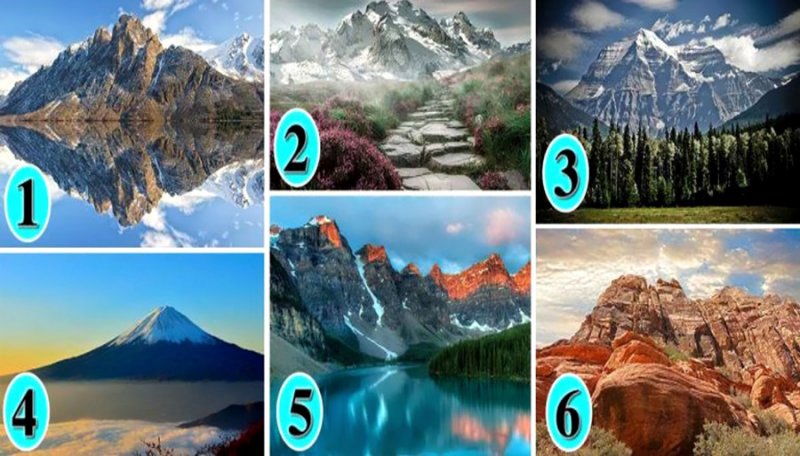 تست شخصیت شناسی