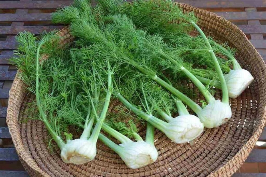 درمان خانگی