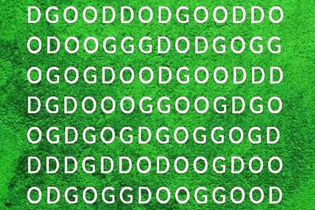 تست هوش