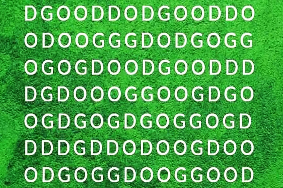 تست هوش