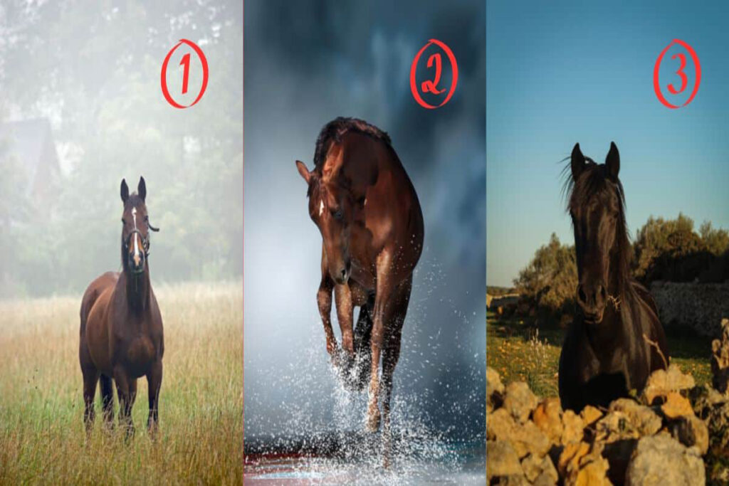 تست شخصیت شناسی