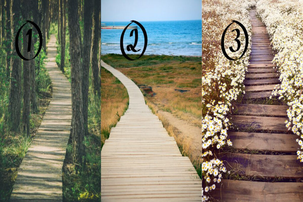 تست شخصیت شناسی