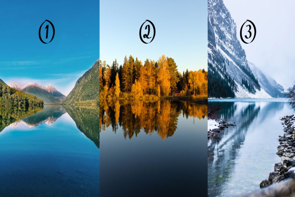 تست شخصیت شناسی