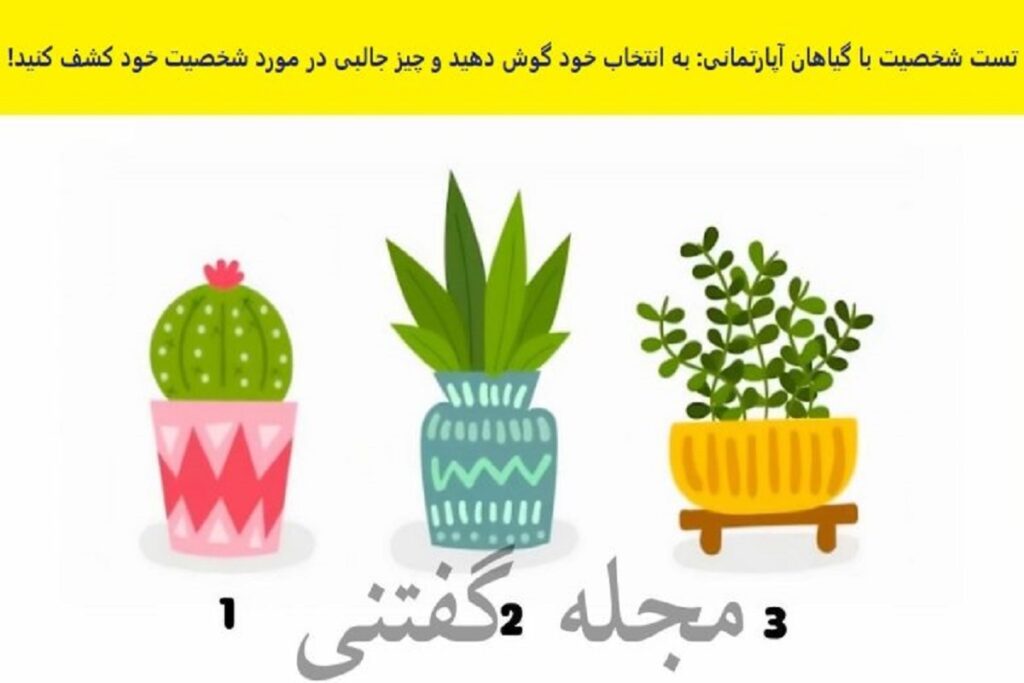 تست شخصیت شناسی