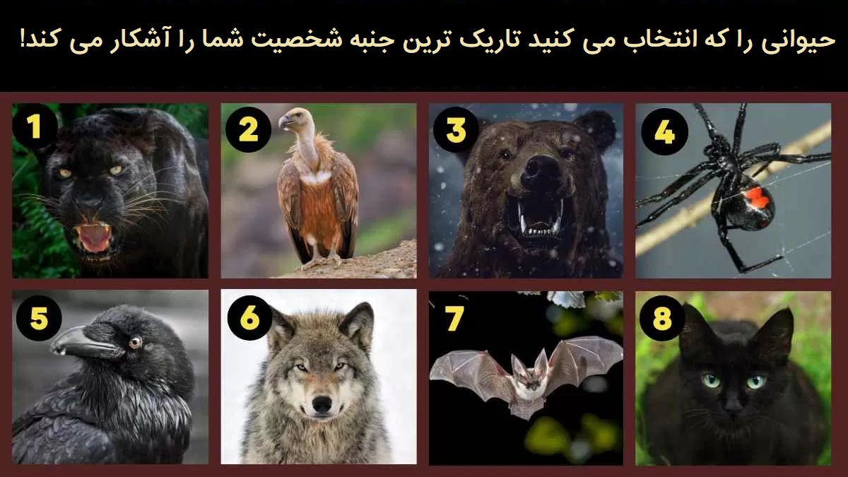 تست شخصیت شناسی
