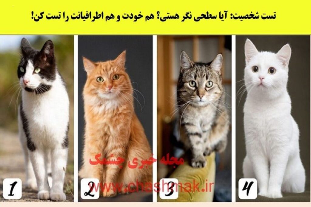 تست شخصیت شناسی