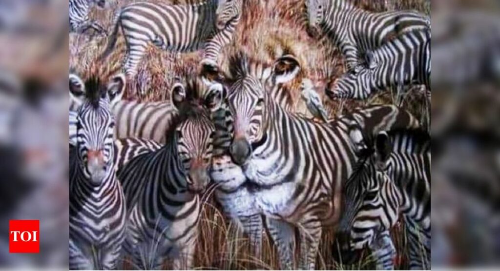 تست شخصیت شناسی