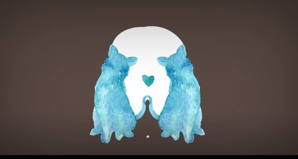 تست شخصیت شناسی