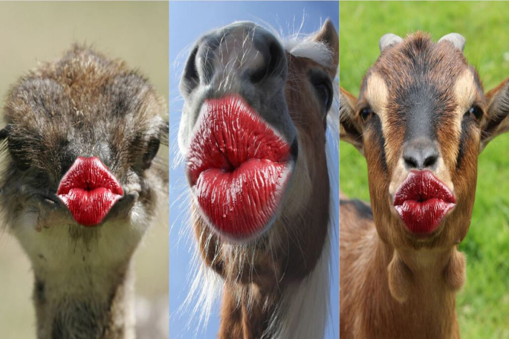 تست شخصیت شناسی