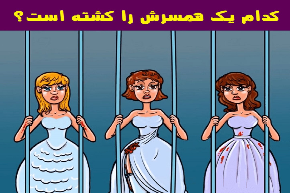 تست هوش