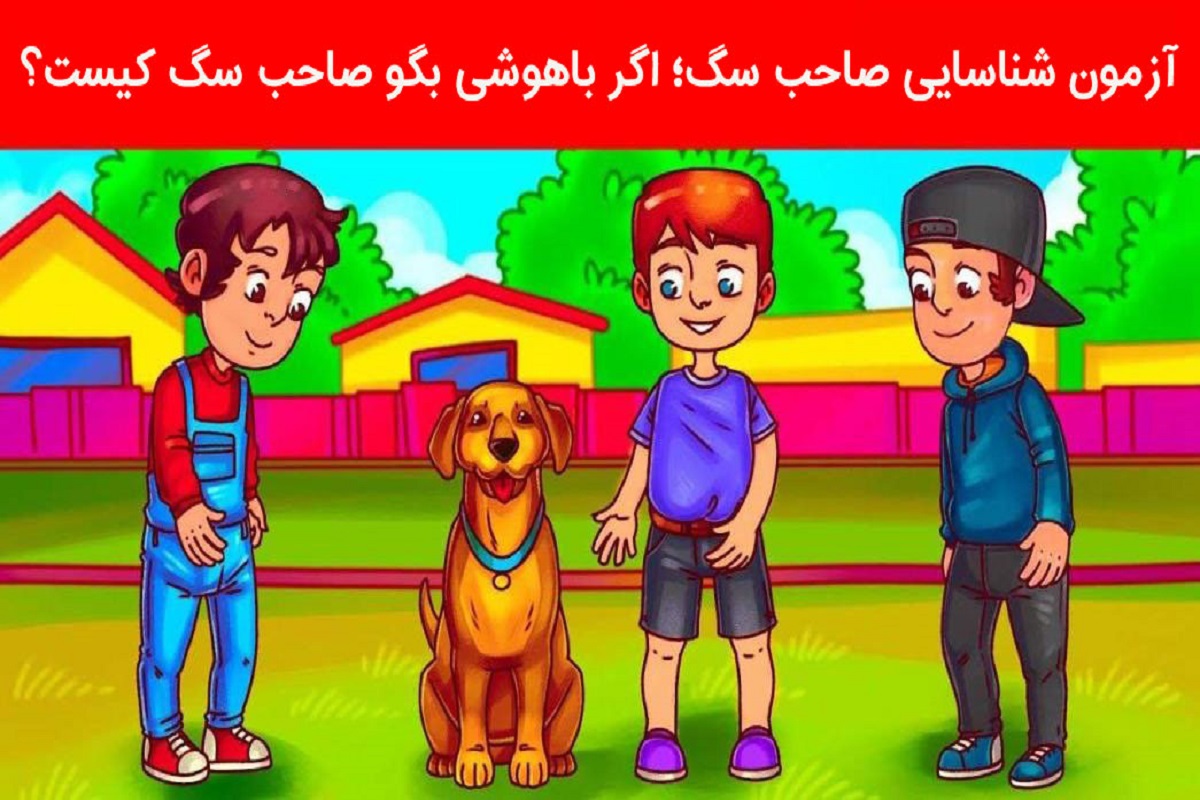 تست هوش