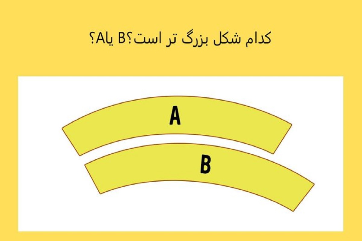 تست هوش