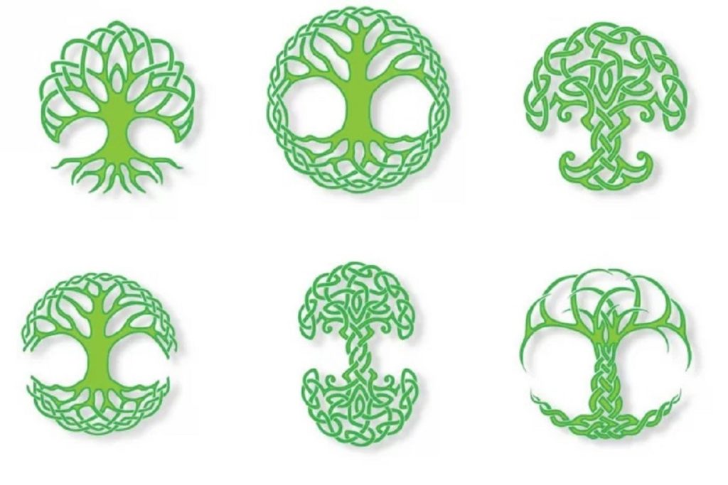 تست شخصیت شناسی