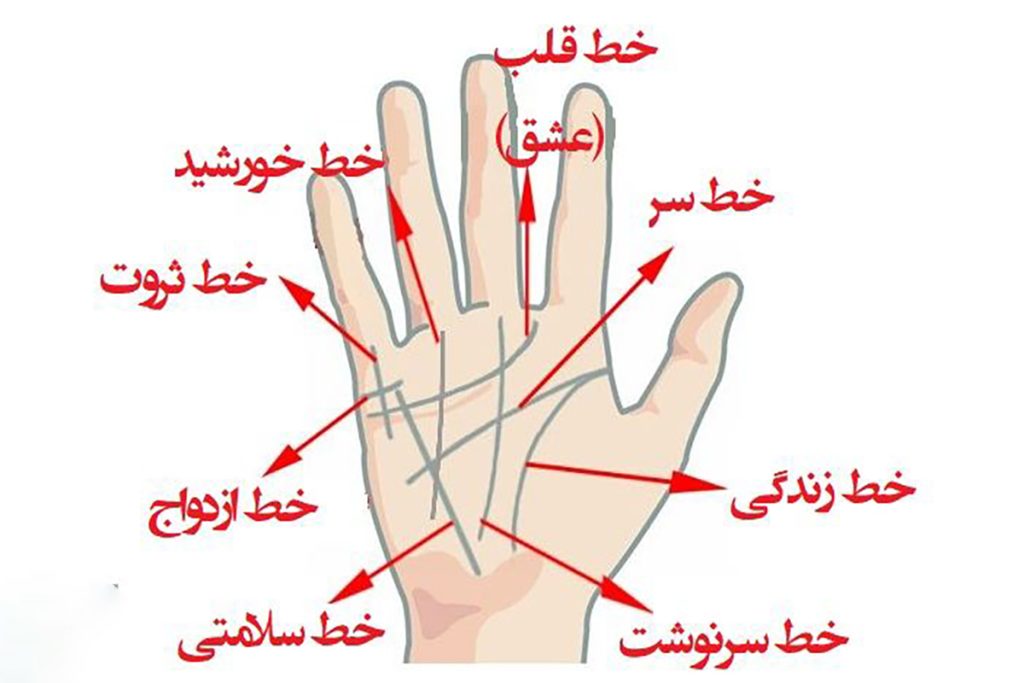 تست شخصیت شناسی
