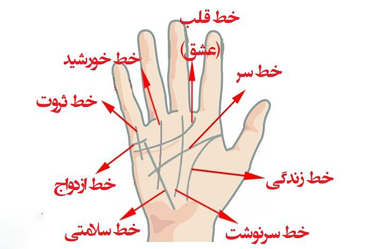 تست شخصیت شناسی