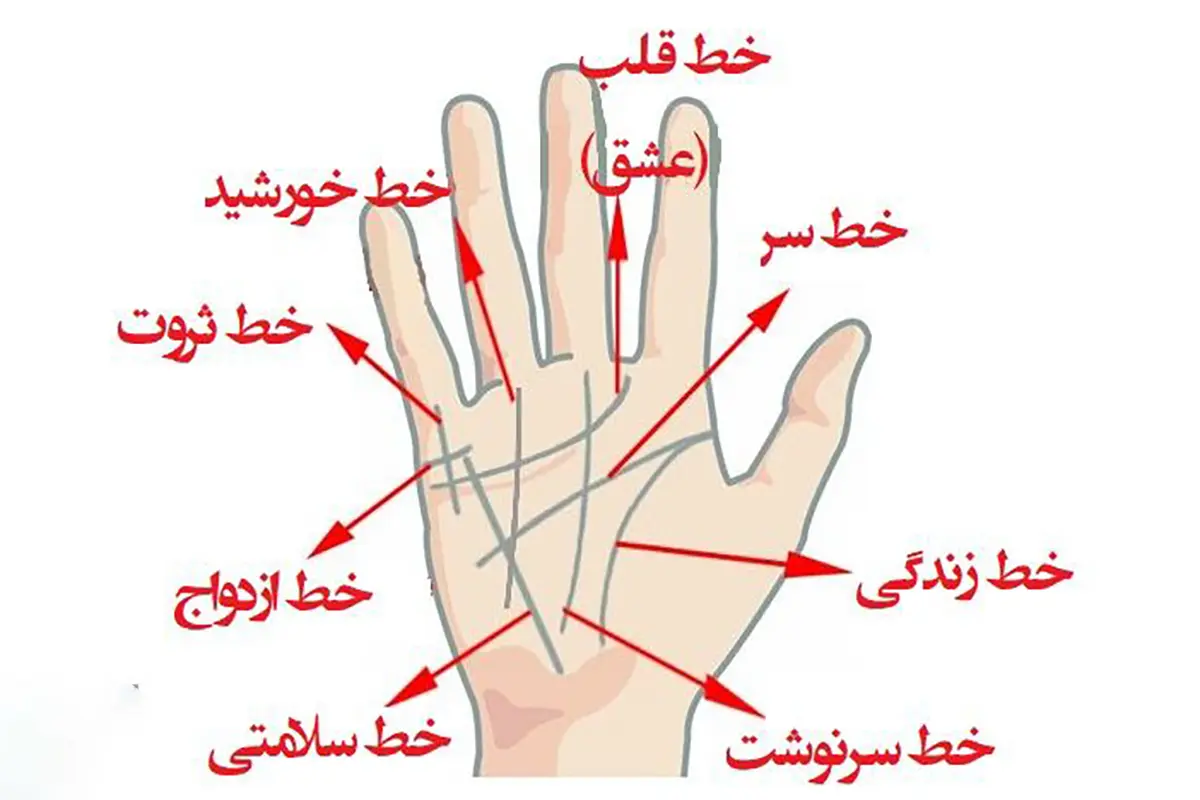 تست شخصیت شناسی