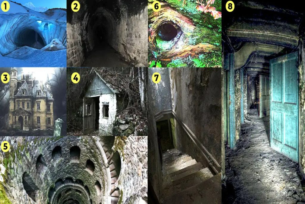 تست شخصیت شناسی