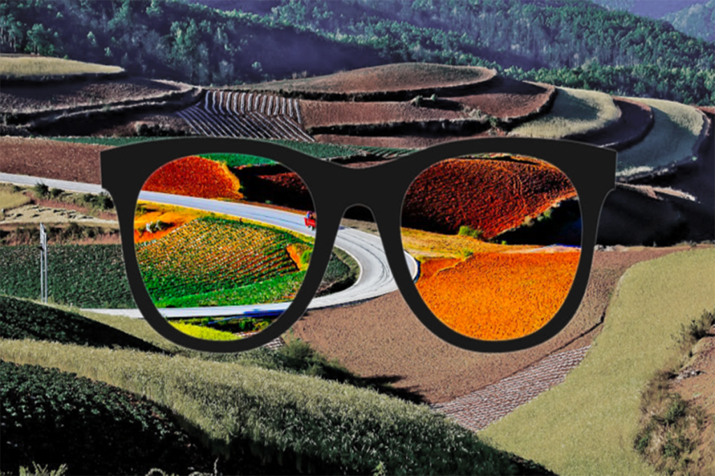 تست شخصیت شناسی