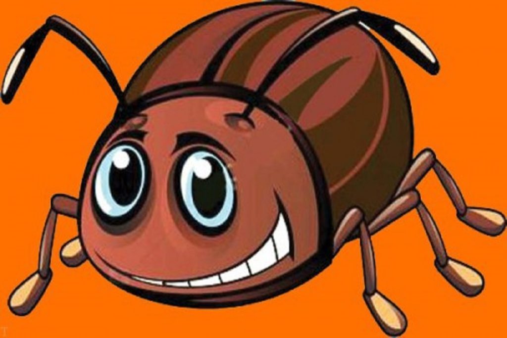 نکات خانه داری