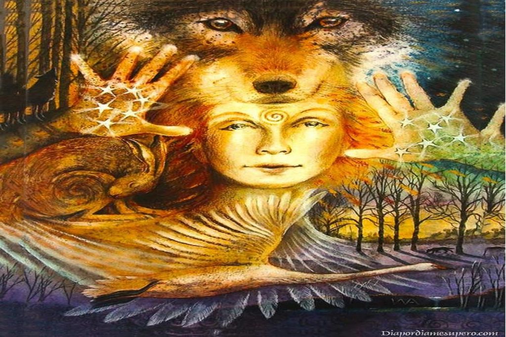 تست شخصیت شناسی