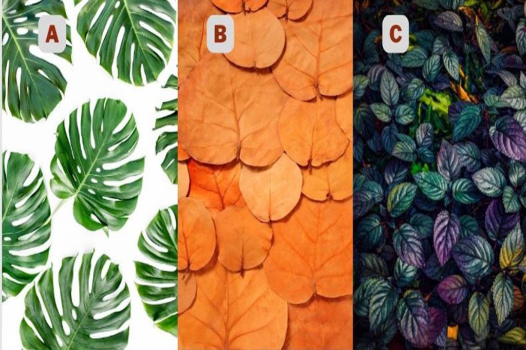 تست شخصیت شناسی