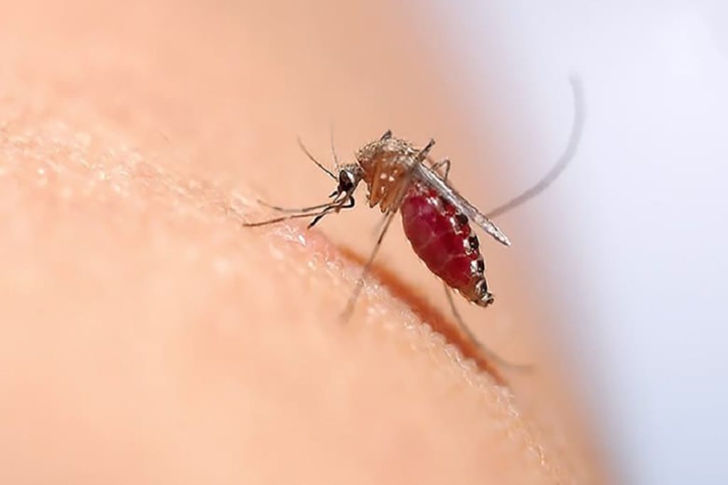 نکات خانه داری