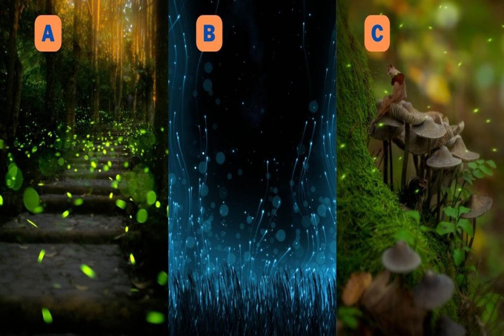 تست شخصیت شناسی