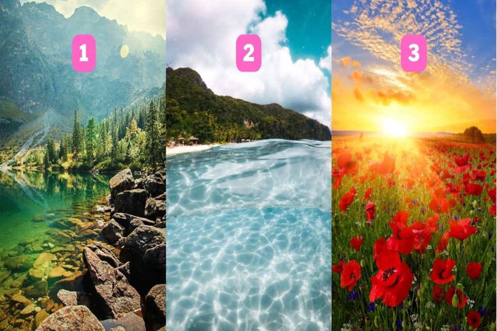 تست شخصیت شناسی