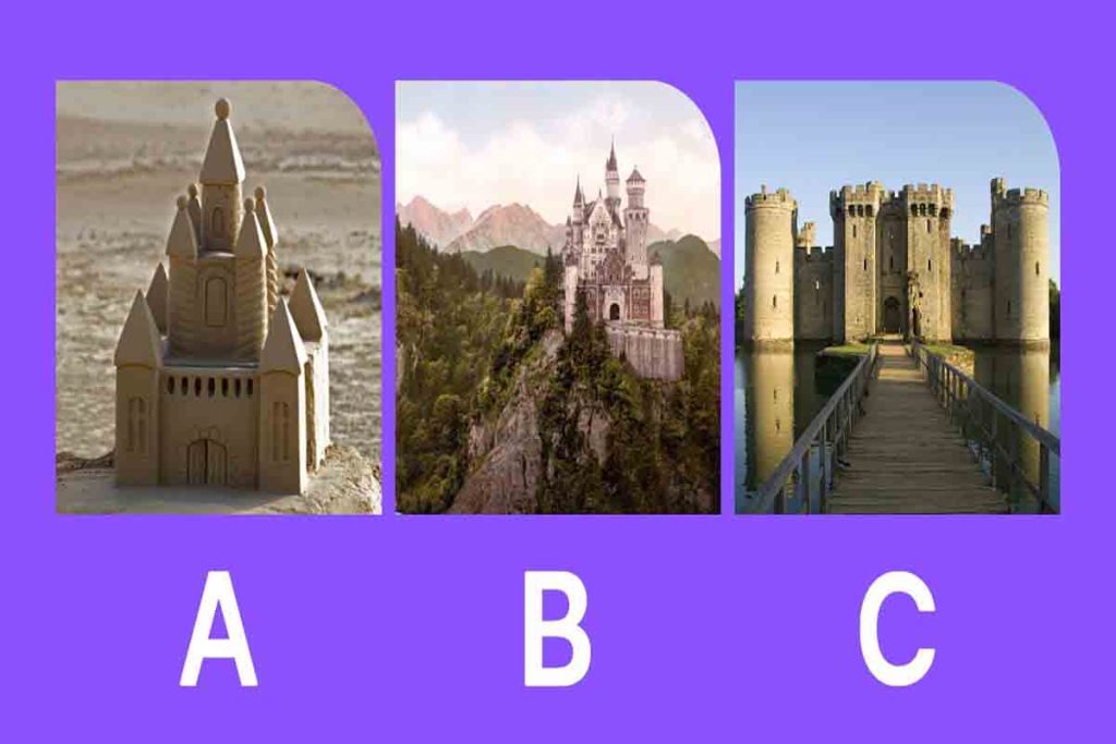 تست شخصیت شناسی