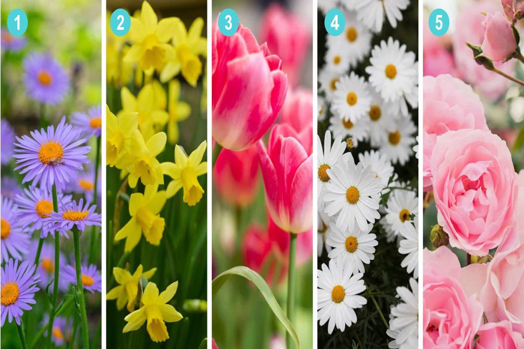 تست شخصیت شناسی