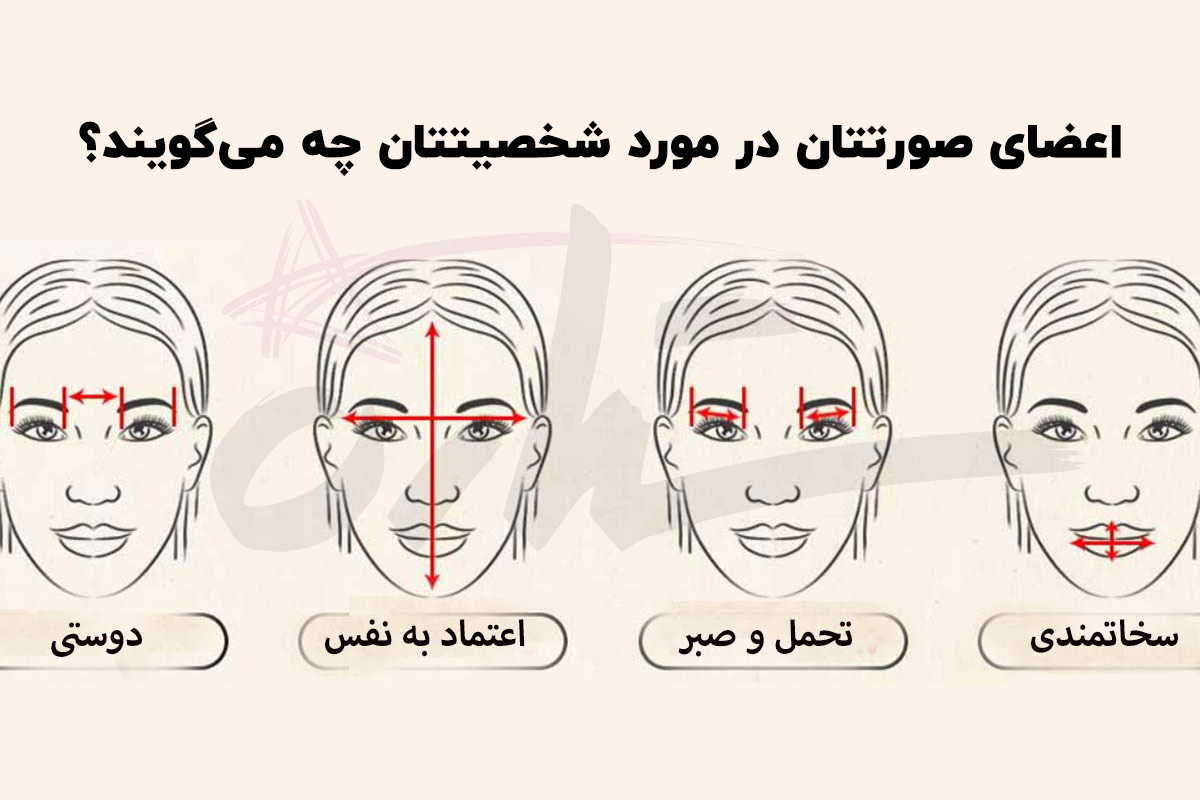 تست شخصیت شناسی