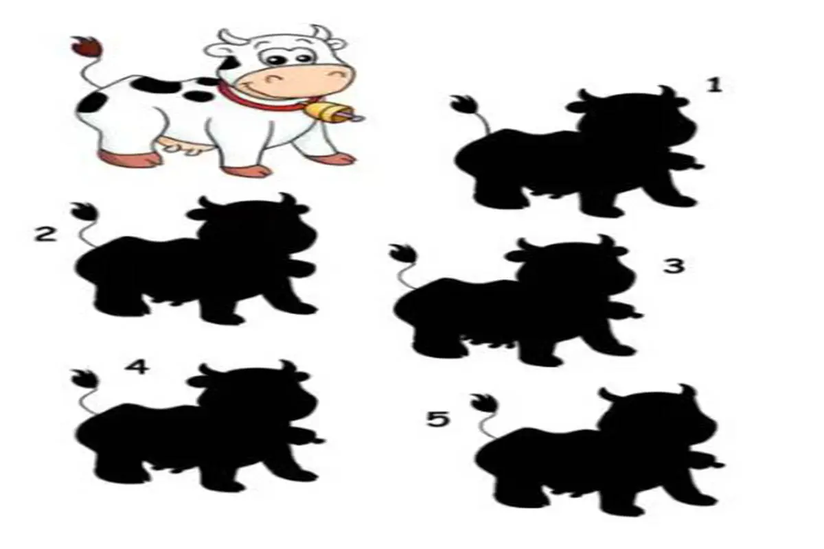 تست هوش