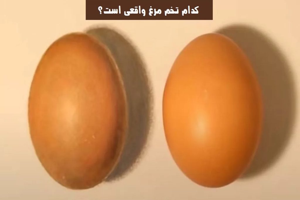 تست هوش
