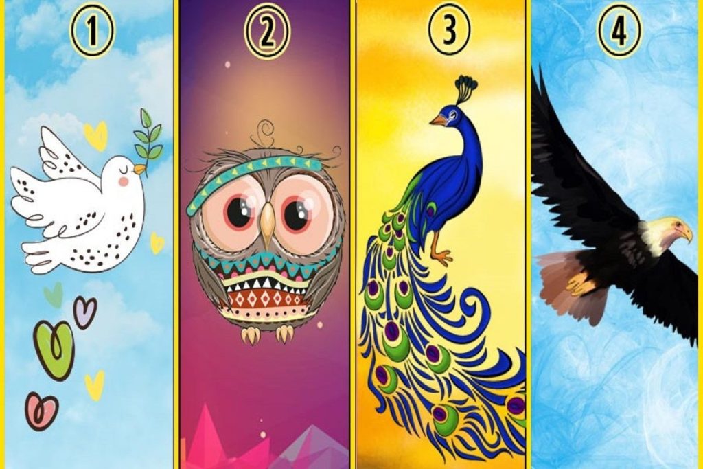 تست شخصیت شناسی