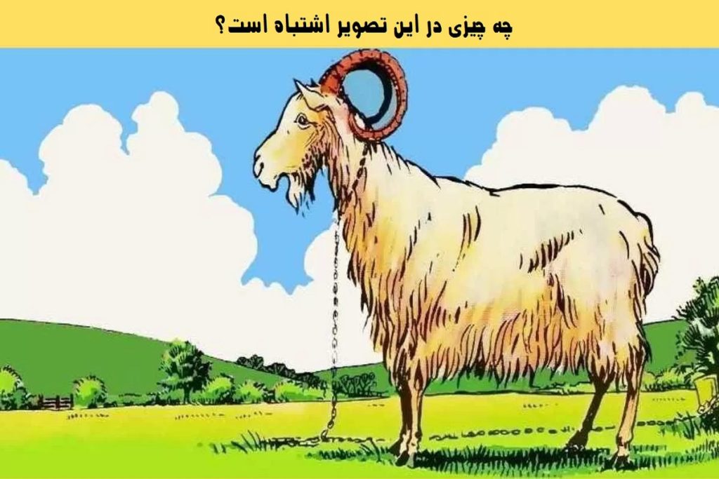 تست هوش