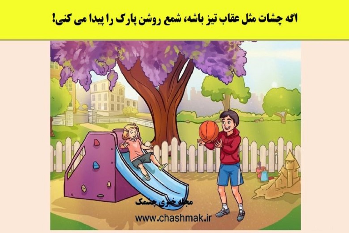 تست هوش