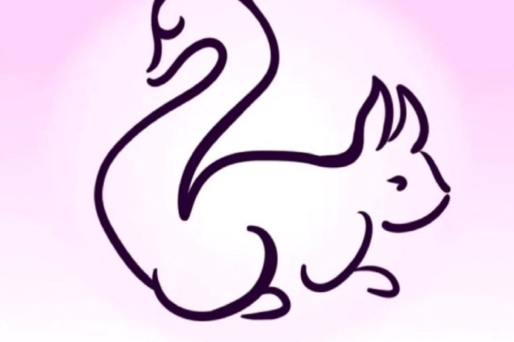 تست شخصیت شناسی