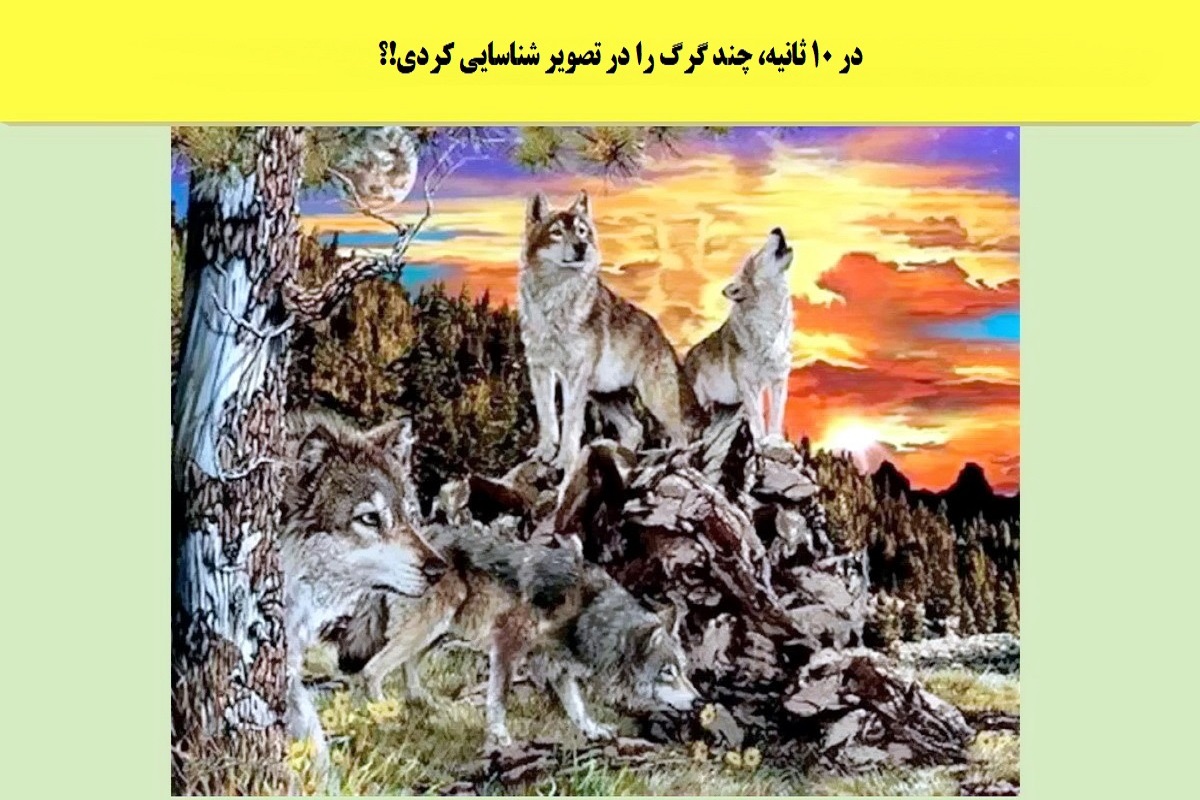 تست هوش