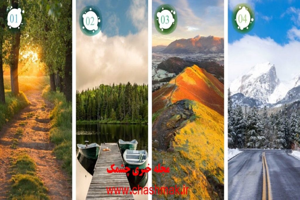 تست شخصیت شناسی