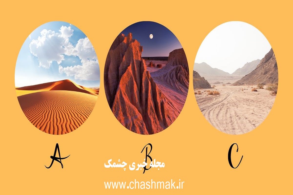 تست شخصیت شناسی