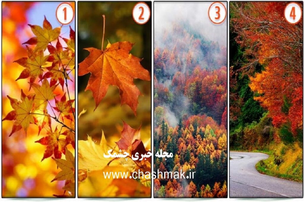 روانشناسی شخصیت