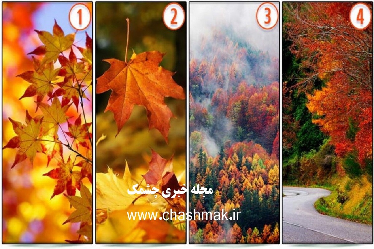 روانشناسی شخصیت