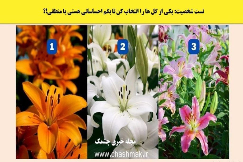 تست شخصیت شناسی