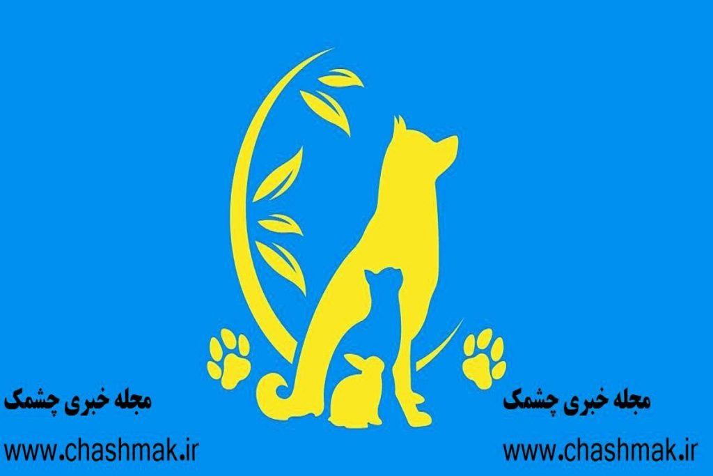 روانشناسی شخصیت