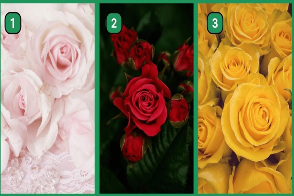 تست شخصیت شناسی