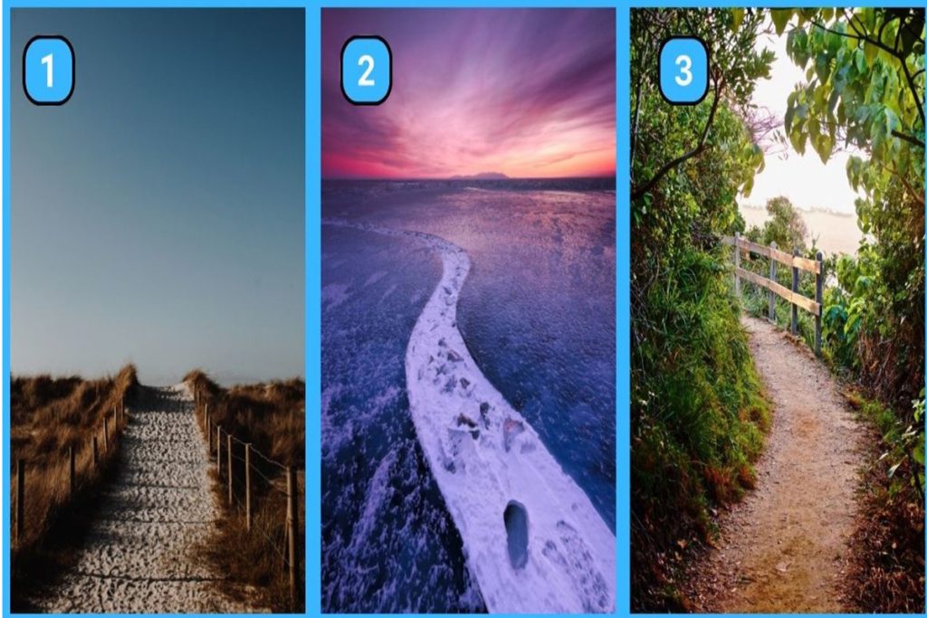 تست شخصیت شناسی