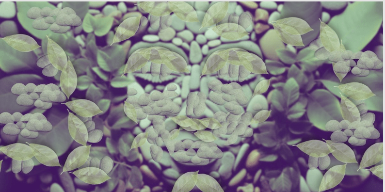 تست شخصیت شناسی