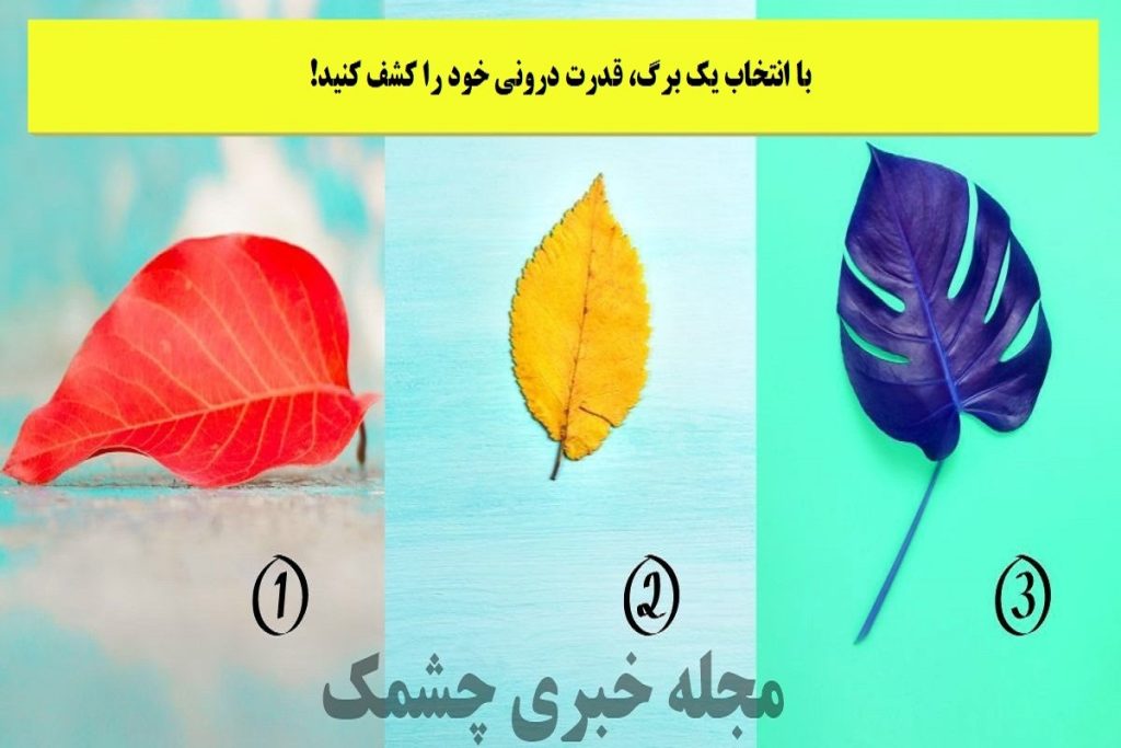 تست شخصیت شناسی