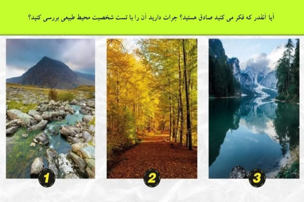 تست شخصیت شناسی