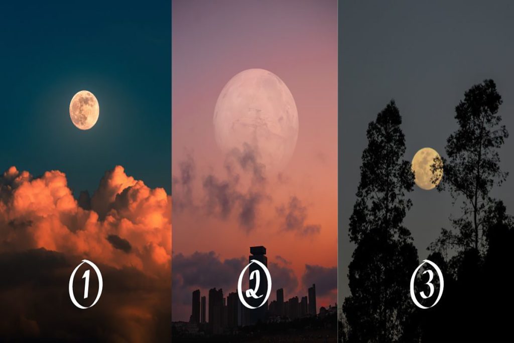 تست شخصیت شناسی